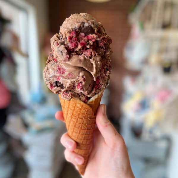 Raspberry Fudge Truffle