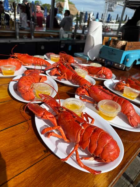 lobsters