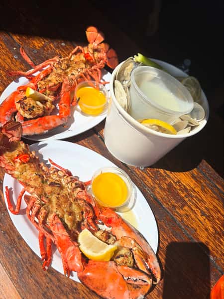 lobsters and steamers