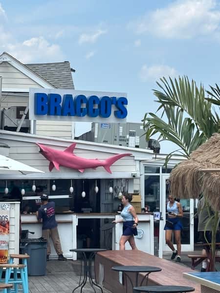 bracco's shark
