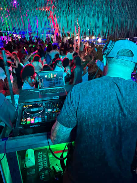 Dj crowd