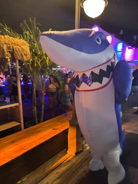 mascot