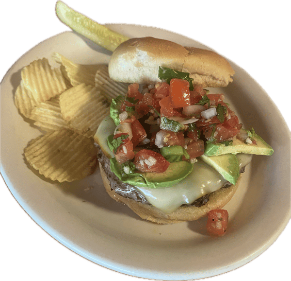 Avocado Burger