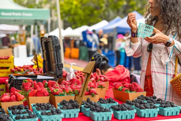 Farmers Market