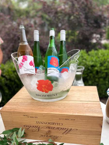 Barton Springs Spring Wine Festival 2025