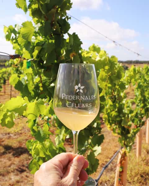 Homegrown Vineyards Pedernales Cellars Wine Dinner Juliet