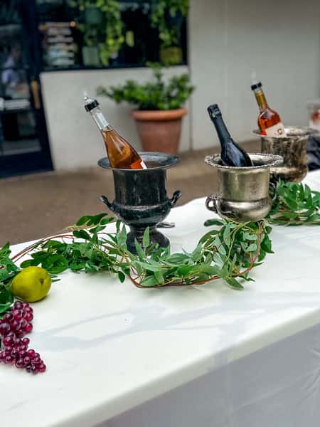 Barton Springs Spring Wine Festival 2025