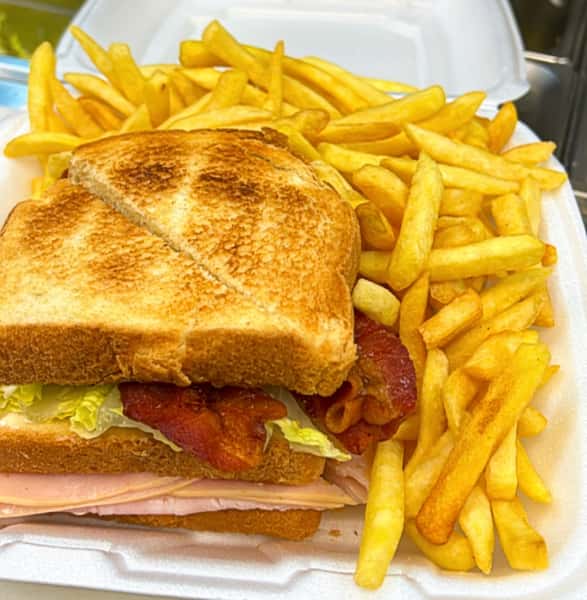 Turkek club and french fries.