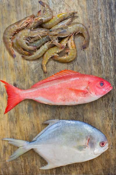 varieties of fish