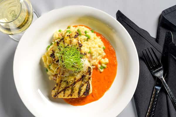 Grilled Gulf Grouper