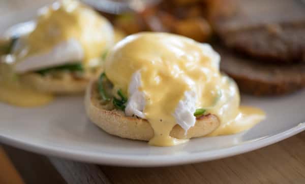 THE BENEDICT 16