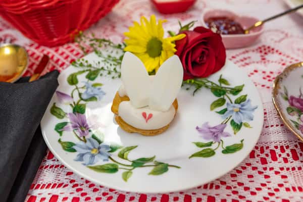 White Rabbit Cream Puff