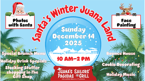 Juana's Winter Juana Land