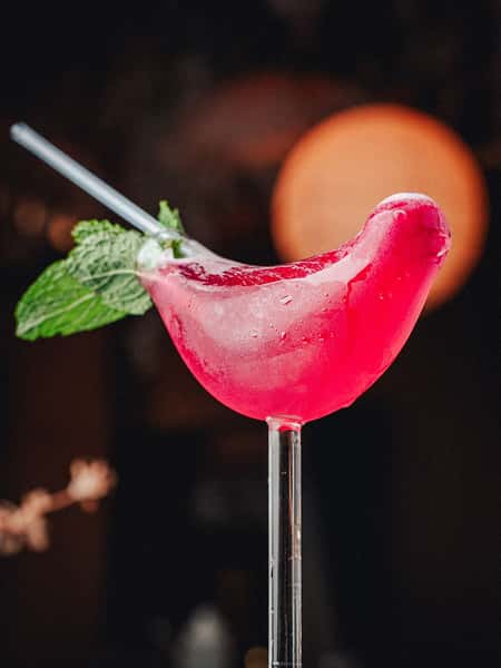 dragon bird cocktail the select