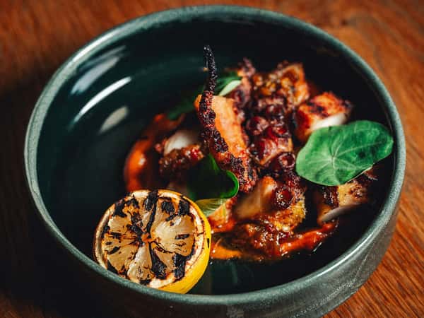 octopus