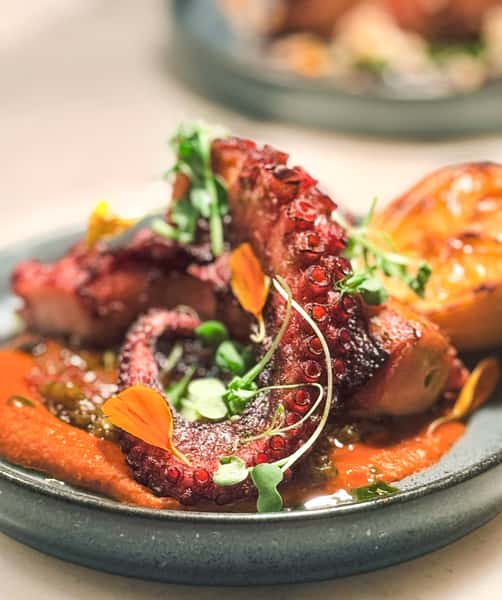 Spanish Octopus