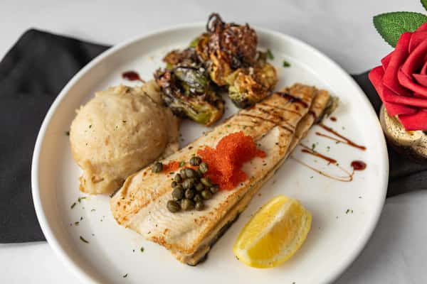 Rainbow Trout