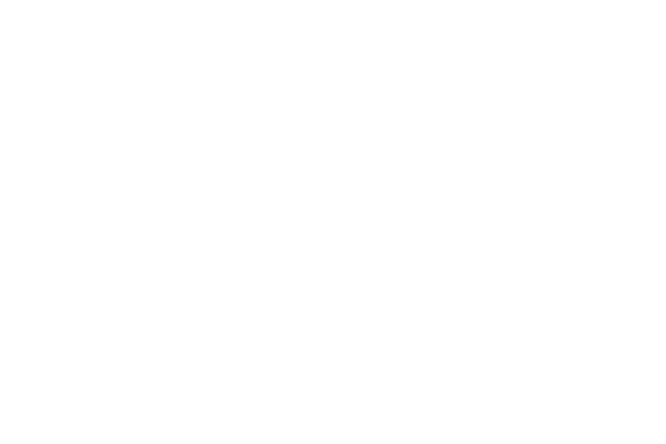 skull logo