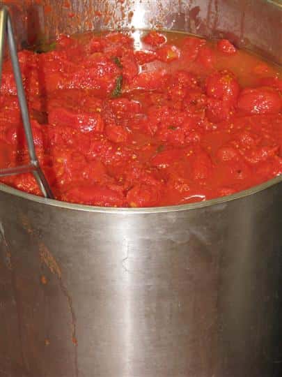 tomato paste