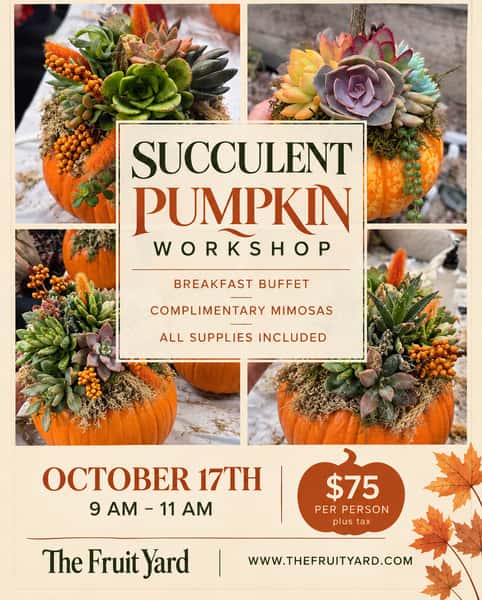 Pumpkin Succulent Workshop & Brunch 10/17