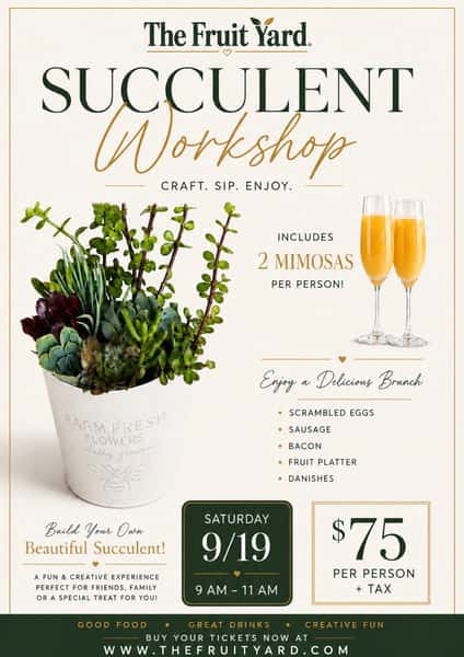 Succulent Workshop & Brunch 9/19