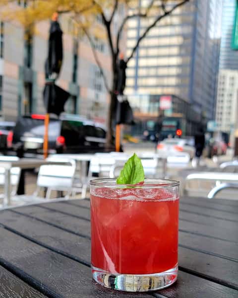 Cranberry Gin Cooler