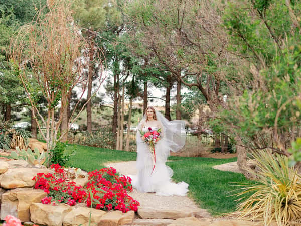 garden photography