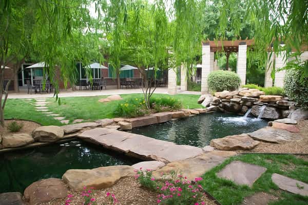 pond