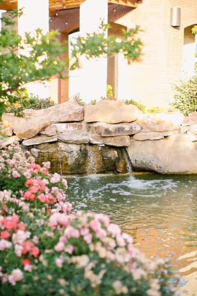 garden photography