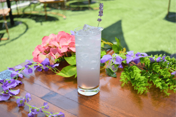 Lavender Lady