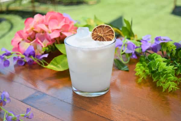 Coconut Gin Fizz