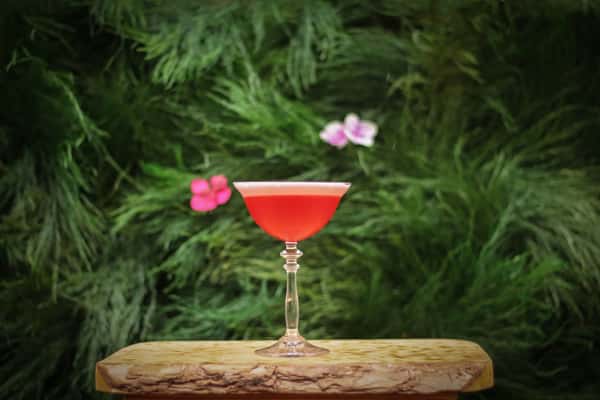 Bright pink craft cocktail served in a coupe glass against a lush greenery backdrop, perfect for upscale dining and happy hour menus.