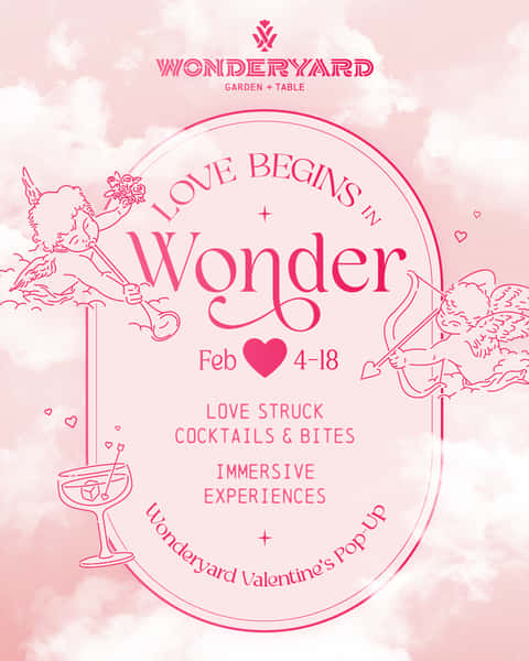 Love Begins in wonder