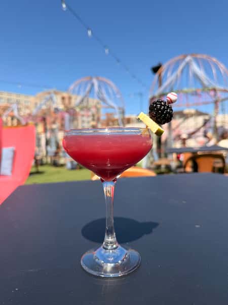 Blueberry Frosé