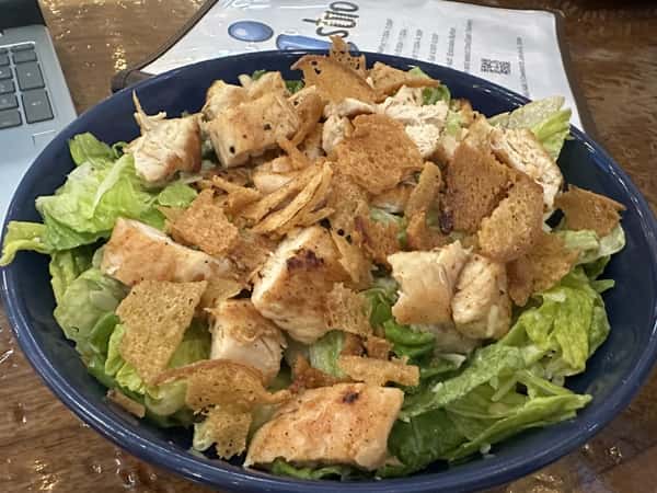Garden Salad w/ Protein