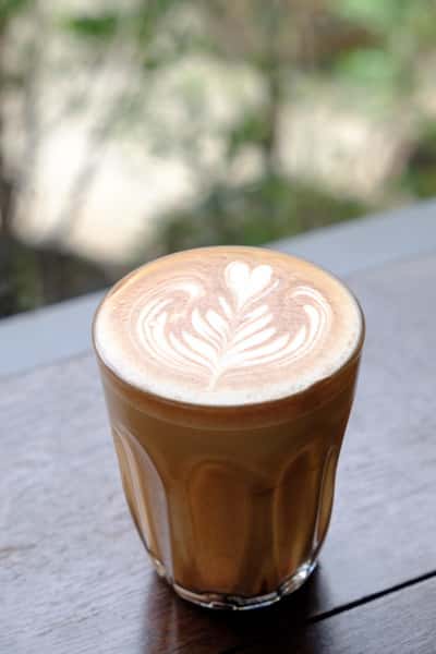 Large 16oz Cappuccino