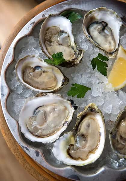 Oyster Finale