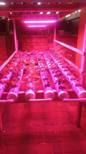 hydro plants