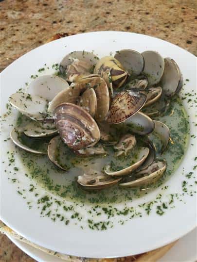 Steamed mussels in a herbed sauce
