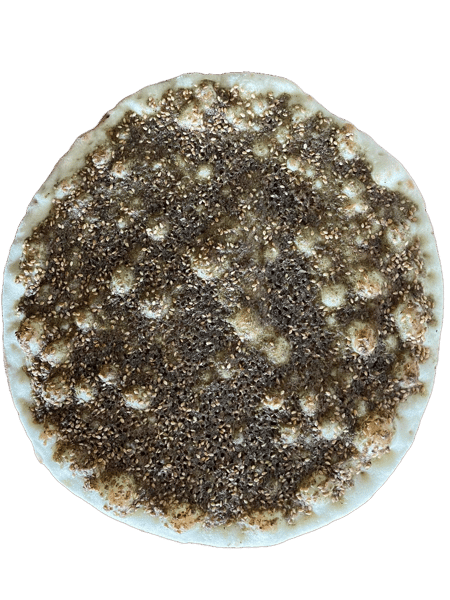 Zaatar Manousheh