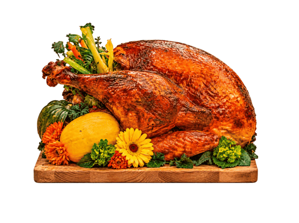 ESP FESTIN TURKEY