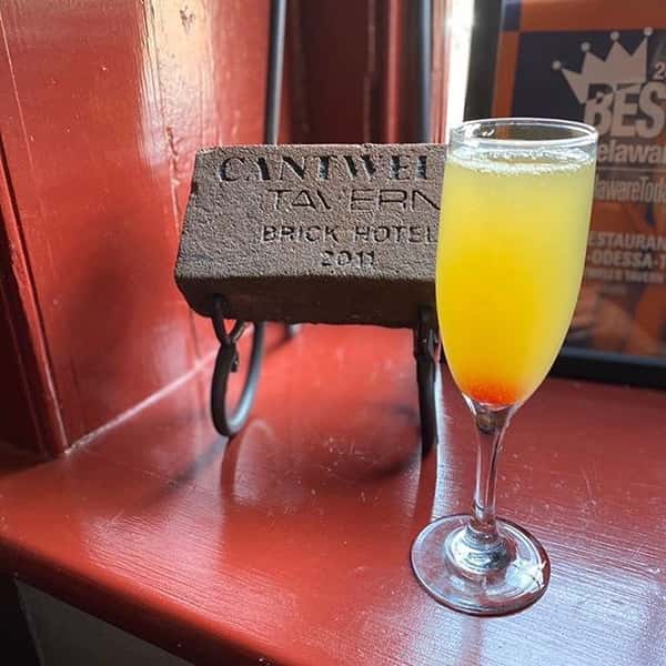 Cantwell's Mimosa