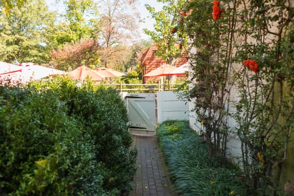 Path to Patio