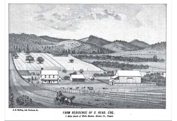 Historic illustration of an early Reedville farmstead.