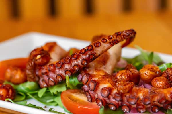 Octopus