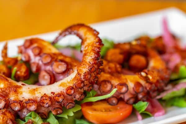 Octopus