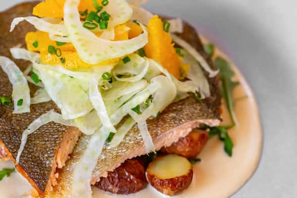 trout