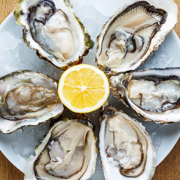 Oysters