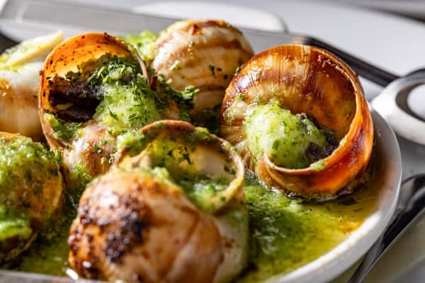 escargot