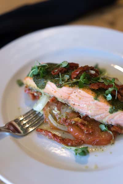 salmon